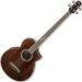 Ibanez EWB20WNE - NT Semi Acoustic Bass Guitar